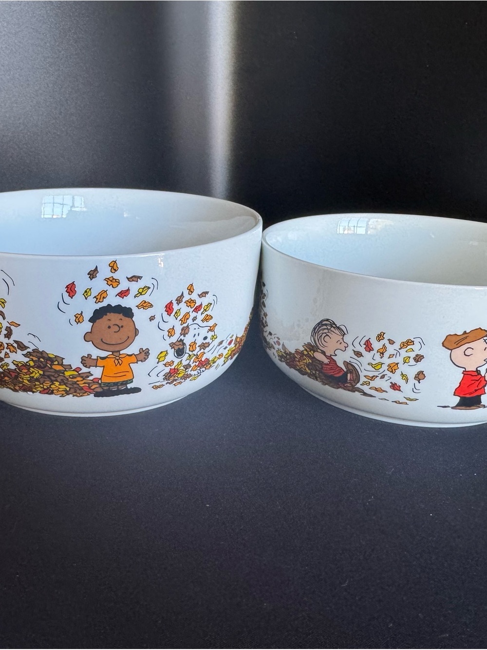 Peanuts Holiday Ceramic Bowls - Fall Leaves Design